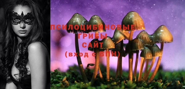 круглые Абаза