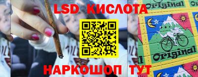 индика Михайловка