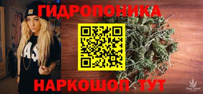 индика Михайловка