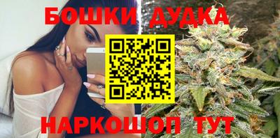 индика Михайловка
