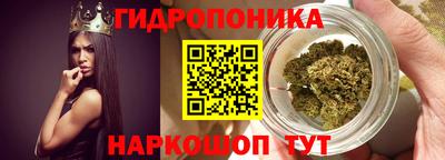 индика Михайловка