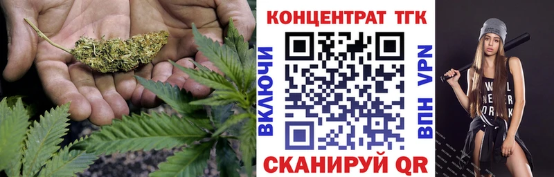 закладка  Ялта  ТГК концентрат 