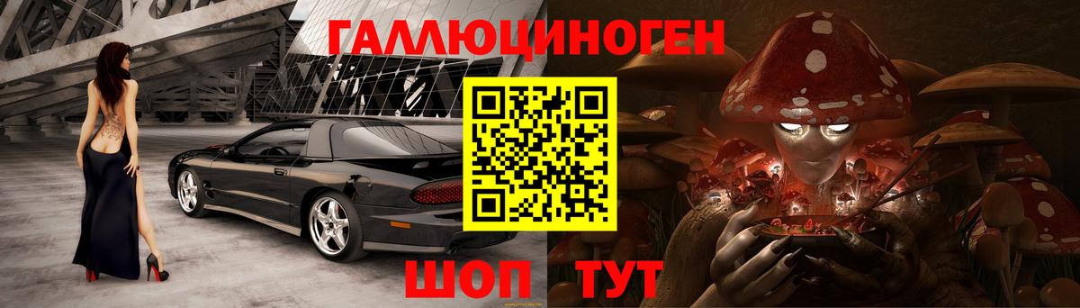 Галлюциногенные грибы прущие грибы  Вход с VPN  Ялта 